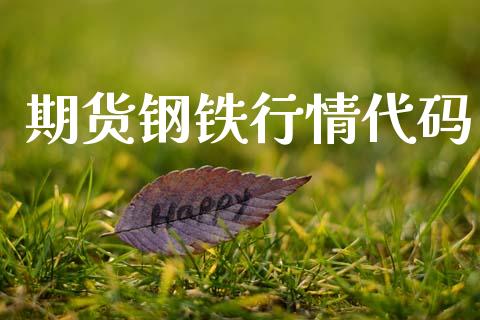 期货钢铁行情代码_https://www.lansai.wang_期货行情_第1张