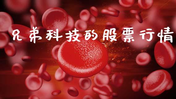 兄弟科技的股票行情_https://www.lansai.wang_股票知识_第1张