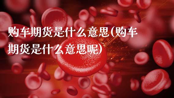 购车期货是什么意思(购车期货是什么意思呢)_https://www.lansai.wang_恒生指数_第1张