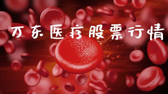 万东医疗股票行情_https://www.lansai.wang_股票知识_第1张