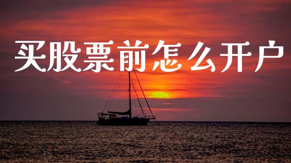 买股票前怎么开户_https://www.lansai.wang_股票知识_第1张