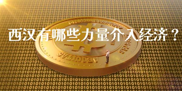 西汉有哪些力量介入经济？_https://www.lansai.wang_理财百科_第1张