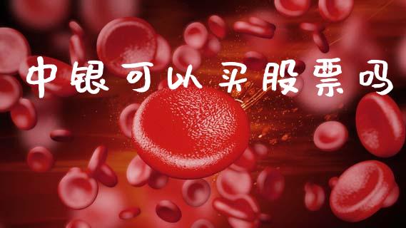中银可以买股票吗_https://www.lansai.wang_期货行情_第1张