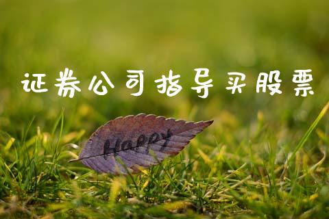 证券公司指导买股票_https://www.lansai.wang_期货行情_第1张