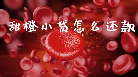 甜橙小贷怎么还款_https://www.lansai.wang_股票问答_第1张