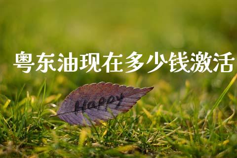 粤东油现在多少钱激活_https://www.lansai.wang_期货行情_第1张