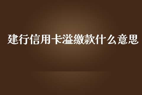 建行信用卡溢缴款什么意思_https://www.lansai.wang_恒生指数_第1张