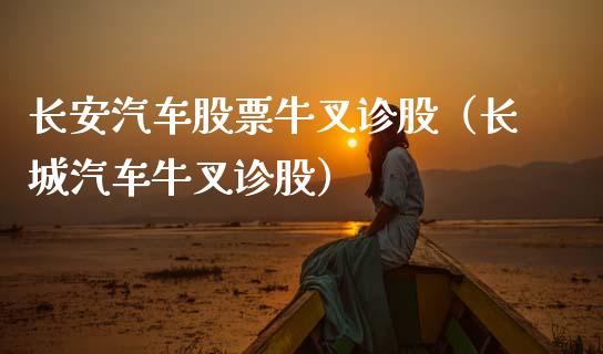 长安汽车股票牛叉诊股（长城汽车牛叉诊股）_https://www.lansai.wang_股票知识_第1张