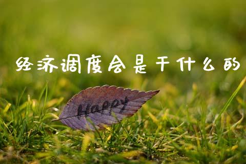 经济调度会是干什么的_https://www.lansai.wang_股票问答_第1张