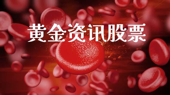 黄金资讯股票_https://www.lansai.wang_基金理财_第1张