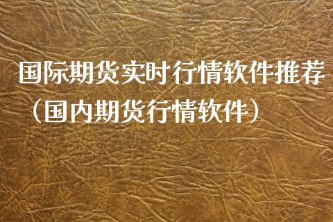 国际期货实时行情软件推荐（国内期货行情软件）_https://www.lansai.wang_期货资讯_第1张