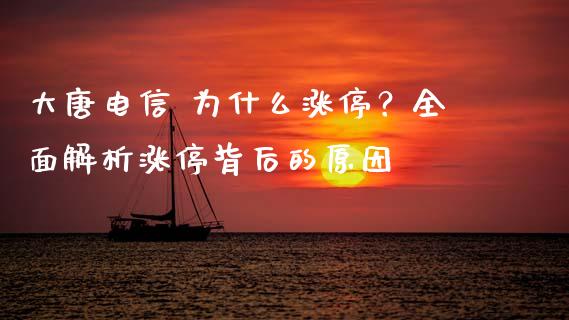 大唐电信 为什么涨停？全面解析涨停背后的原因_https://www.lansai.wang_基金理财_第1张