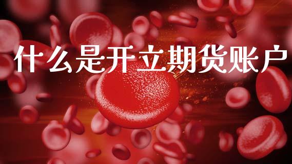 什么是开立期货账户_https://www.lansai.wang_期货品种_第1张