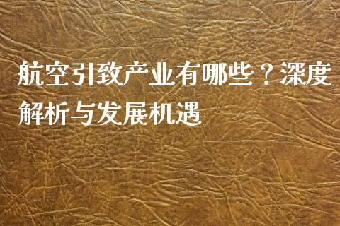 航空引致产业有哪些？深度解析与发展机遇_https://www.lansai.wang_期货学院_第1张