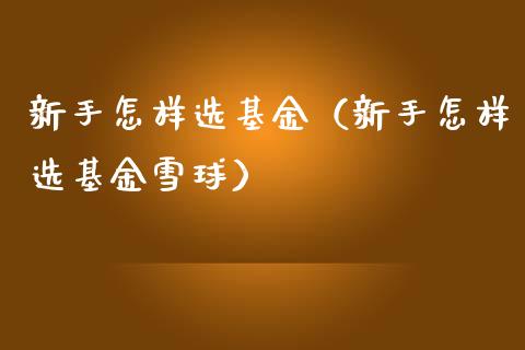 新手怎样选基金（新手怎样选基金雪球）_https://www.lansai.wang_基金理财_第1张