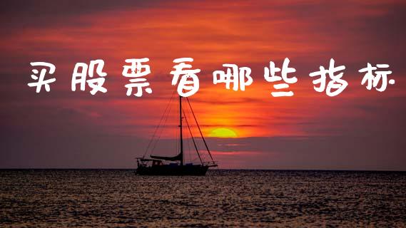 买股票看哪些指标_https://www.lansai.wang_期货行情_第1张