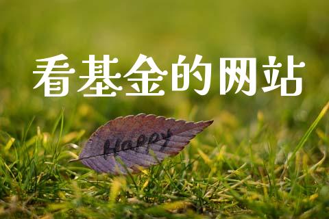 看基金的网站_https://www.lansai.wang_基金理财_第1张