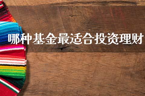 哪种基金最适合投资理财_https://www.lansai.wang_基金理财_第1张