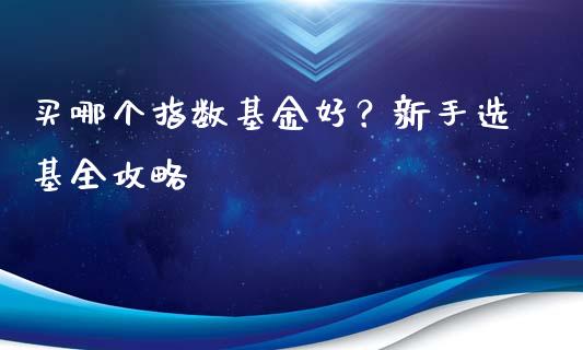买哪个指数基金好？新手选基全攻略_https://www.lansai.wang_期货品种_第1张