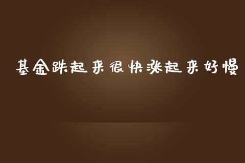 基金跌起来很快涨起来好慢_https://www.lansai.wang_理财百科_第1张