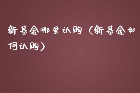 新基金哪里认购（新基金如何认购）_https://www.lansai.wang_基金理财_第1张