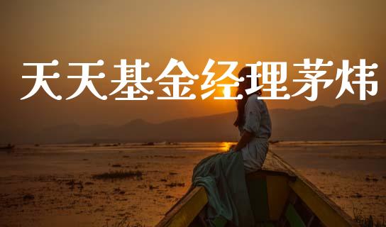 天天基金经理茅炜_https://www.lansai.wang_基金理财_第1张