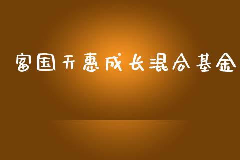 富国天惠成长混合基金_https://www.lansai.wang_基金理财_第1张