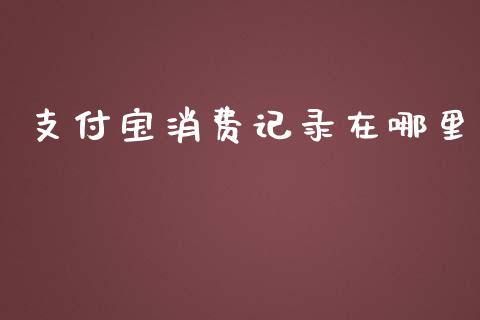 支付宝消费记录在哪里_https://www.lansai.wang_期货行情_第1张