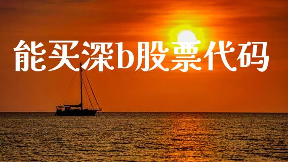 能买深b股票代码_https://www.lansai.wang_期货资讯_第1张