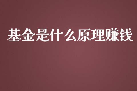 基金是什么原理赚钱_https://www.lansai.wang_未分类_第1张