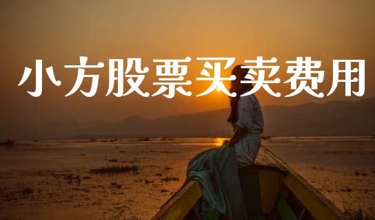小方股票买卖费用_https://www.lansai.wang_期货资讯_第1张