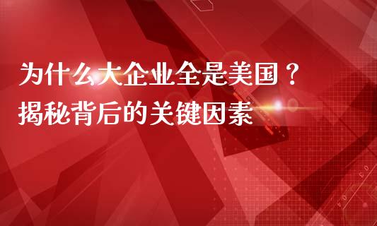 为什么大企业全是美国？ 揭秘背后的关键因素_https://www.lansai.wang_期货资讯_第1张
