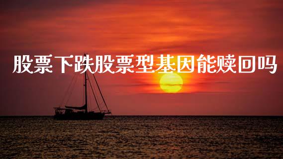股票下跌股票型基因能赎回吗_https://www.lansai.wang_恒生指数_第1张