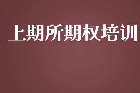 上期所期权培训_https://www.lansai.wang_期货资讯_第1张