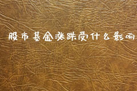 股市基金涨跌受什么影响_https://www.lansai.wang_基金理财_第1张