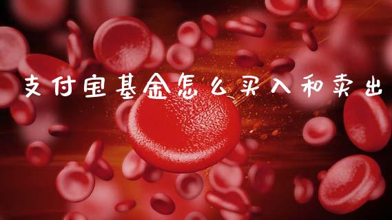 支付宝基金怎么买入和卖出_https://www.lansai.wang_理财百科_第1张