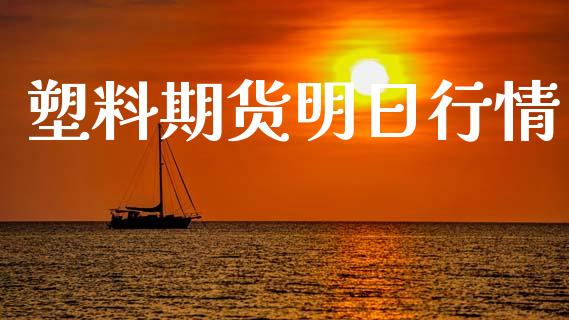 塑料期货明日行情_https://www.lansai.wang_期货资讯_第1张