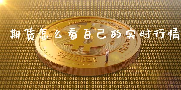 期货怎么看自己的实时行情_https://www.lansai.wang_未分类_第1张