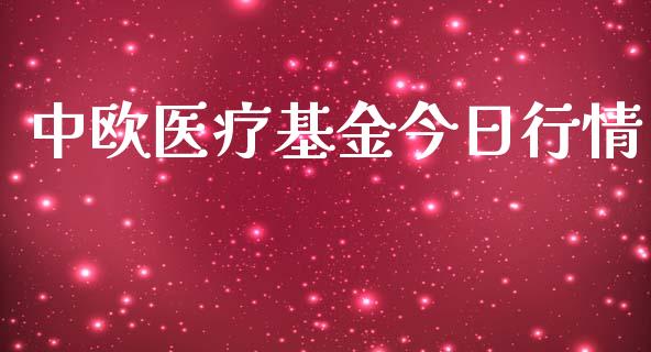 中欧医疗基金今日行情_https://www.lansai.wang_未分类_第1张