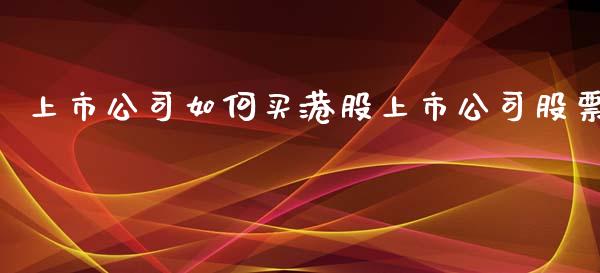 上市公司如何买港股上市公司股票_https://www.lansai.wang_期货行情_第1张