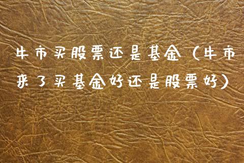 牛市买股票还是基金（牛市来了买基金好还是股票好）_https://www.lansai.wang_股票问答_第1张