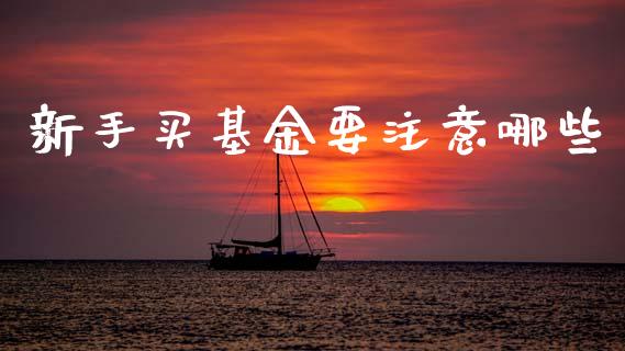 新手买基金要注意哪些_https://www.lansai.wang_基金理财_第1张