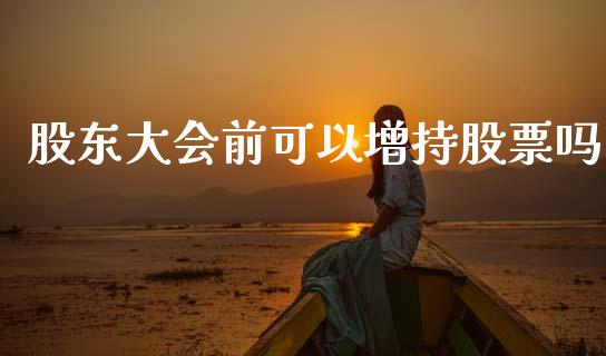 股东大会前可以增持股票吗_https://www.lansai.wang_期货行情_第1张