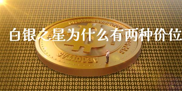 白银之星为什么有两种价位_https://www.lansai.wang_股票问答_第1张