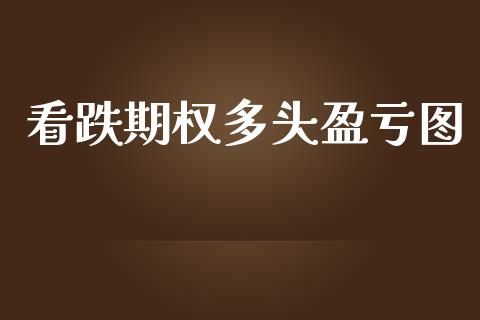 看跌期权多头盈亏图_https://www.lansai.wang_期货资讯_第1张