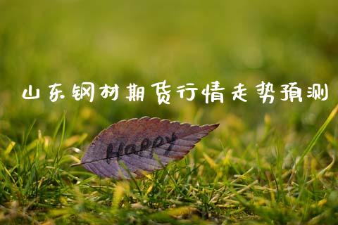 山东钢材期货行情走势预测_https://www.lansai.wang_期货行情_第1张