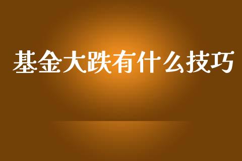 基金大跌有什么技巧_https://www.lansai.wang_基金理财_第1张