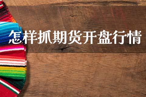 怎样抓期货开盘行情_https://www.lansai.wang_期货行情_第1张