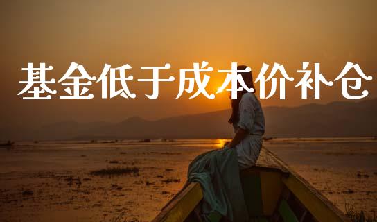 基金低于成本价补仓_https://www.lansai.wang_基金理财_第1张