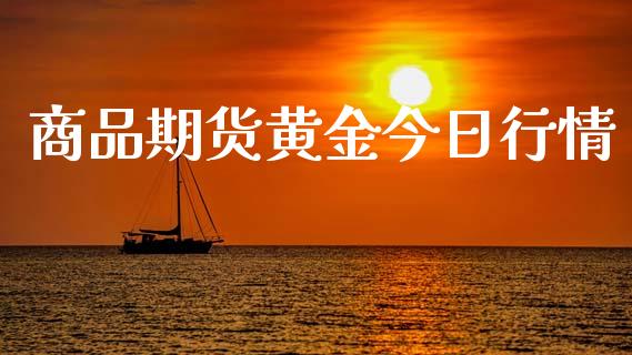 商品期货黄金今日行情_https://www.lansai.wang_期货资讯_第1张